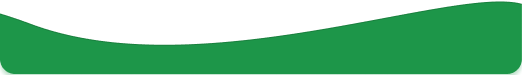 Image of green button shape
